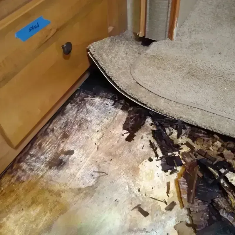 Wood Floor Water Damage in Cypress Quarters, FL